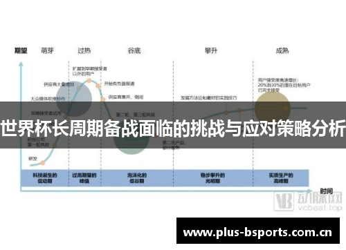 世界杯长周期备战面临的挑战与应对策略分析